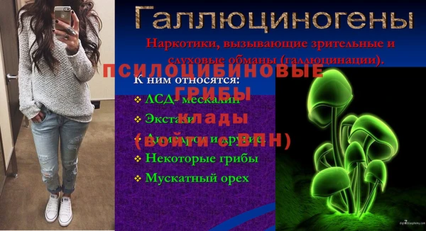 прущие грибы Алексеевка