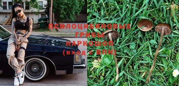 каннабис Алзамай