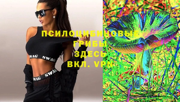 прущие грибы Алексеевка