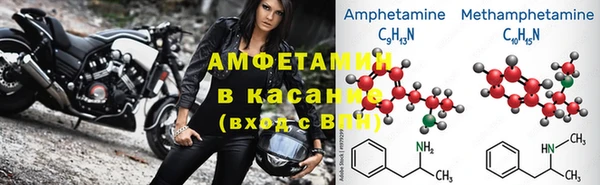 прущие грибы Алексеевка