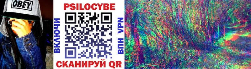купить  сайты  Гаджиево  Псилоцибиновые грибы Cubensis 